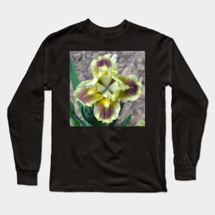 Yellow Bearded Iris Closeup Long Sleeve T-Shirt